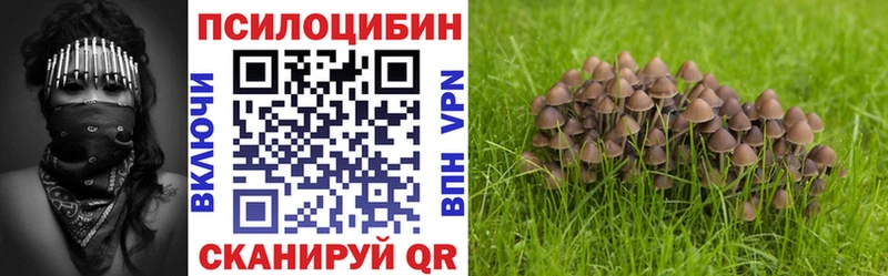 Галлюциногенные грибы Psilocybine cubensis  Верхоянск 